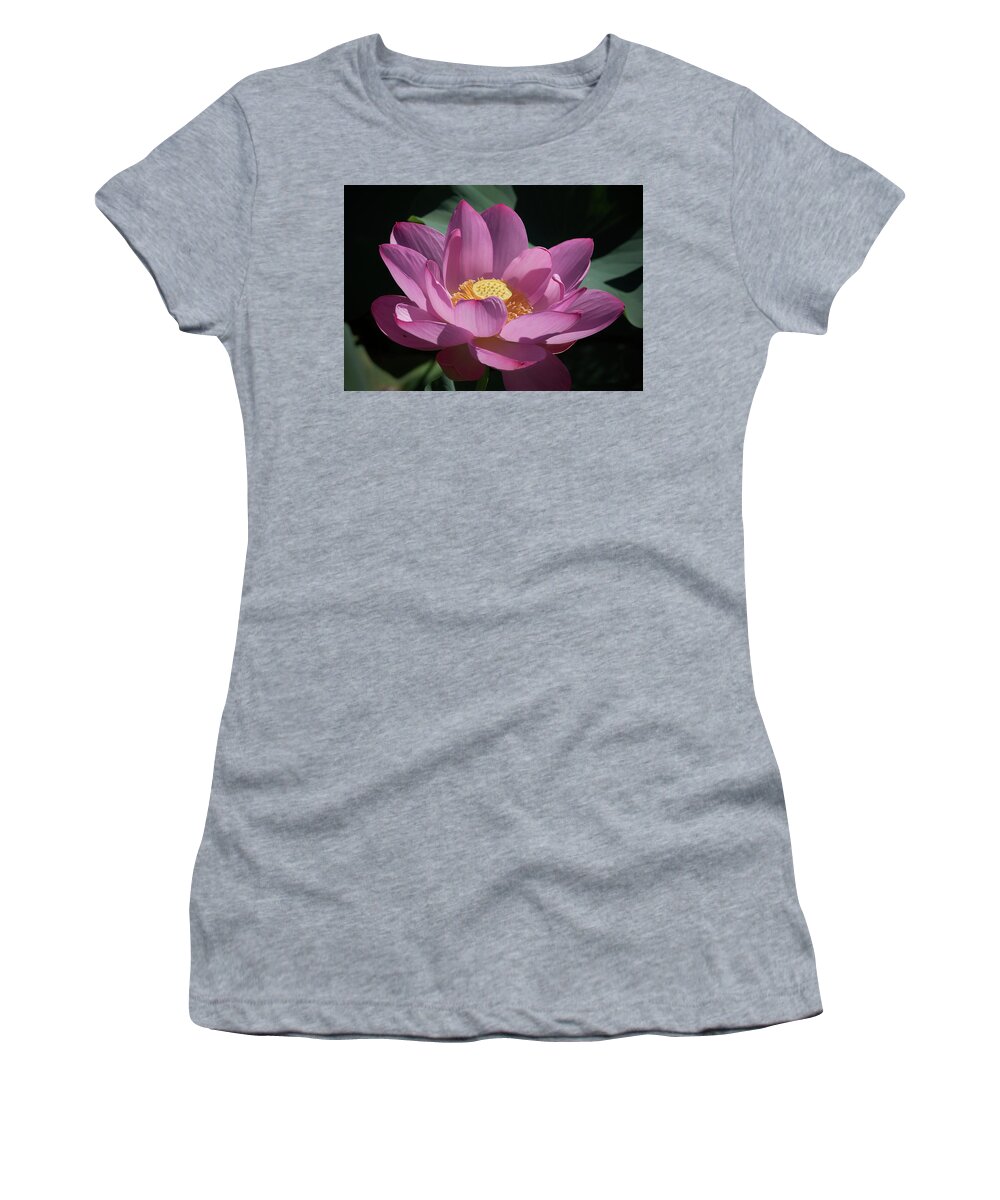 Pink Women's T-Shirt featuring the photograph Pink Lotus Blossom #2 by Jack Nevitt
