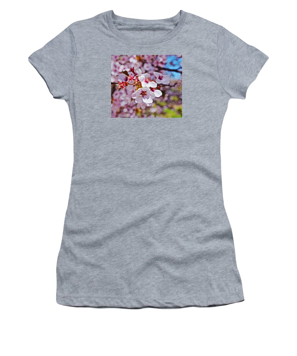 Cherry Blossoms Women's T-Shirt featuring the photograph 2015 Early Spring Cherry Blossoms 1 by Janis Senungetuk