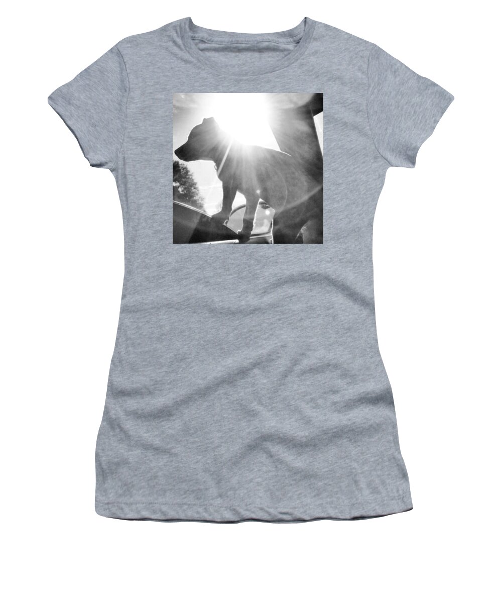 Dog Women's T-Shirt featuring the photograph Curious by Haley Marie Theoboldt