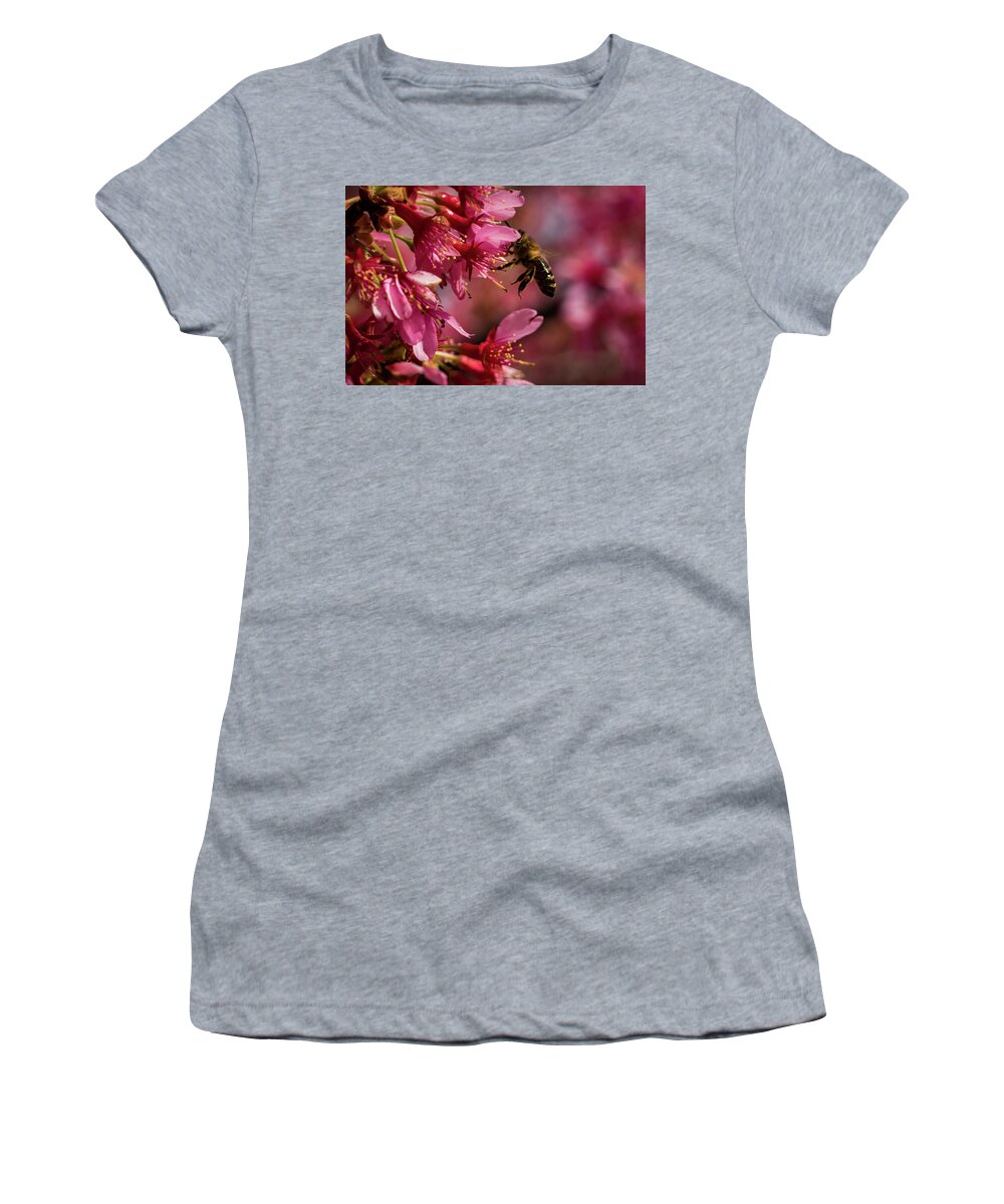 Jay Stockhaus Women's T-Shirt featuring the photograph Bee #3 by Jay Stockhaus