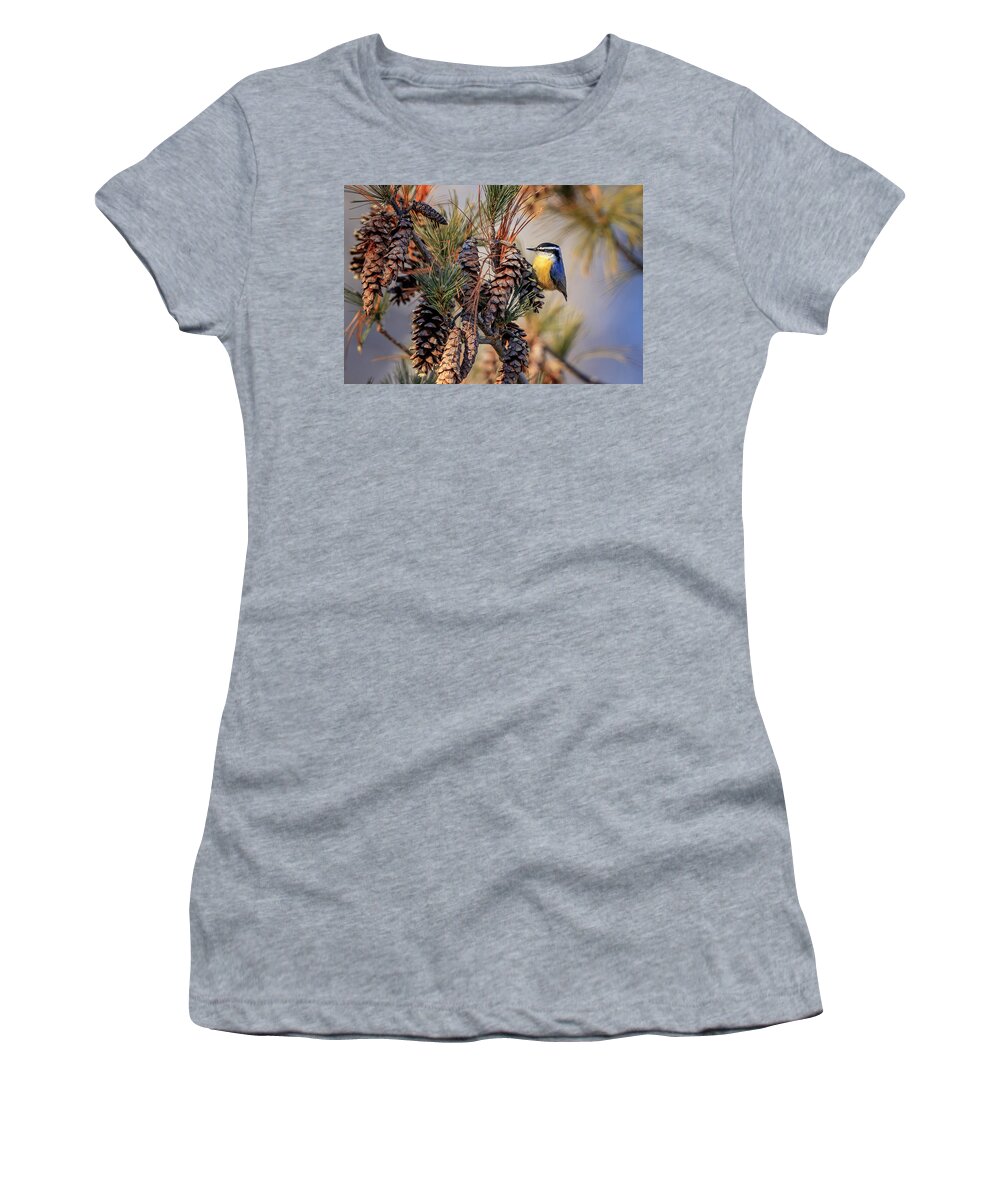 Adorable Women's T-Shirt featuring the photograph Black-capped Chickadee by Peter Lakomy