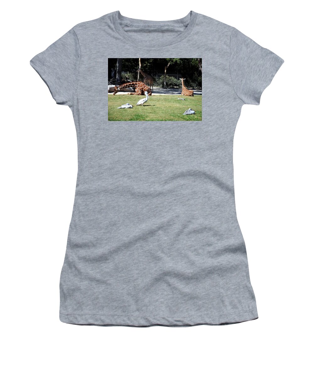 Ft. Worth Women's T-Shirt featuring the photograph Easy Sunday Afternoon #3 by Kenny Glover