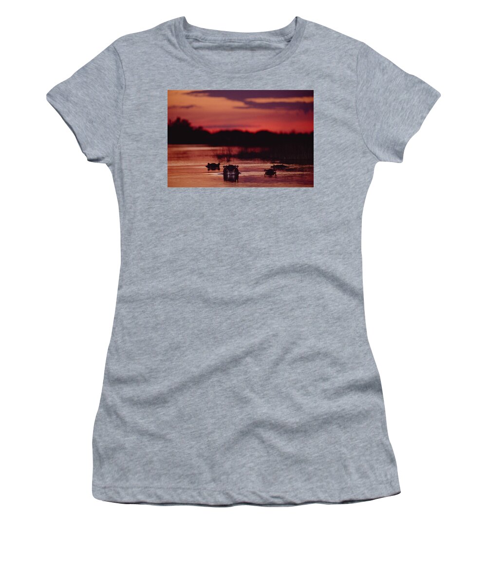 Mp Women's T-Shirt featuring the photograph Hippopotamus Hippopotamus Amphibius #3 by Gerry Ellis