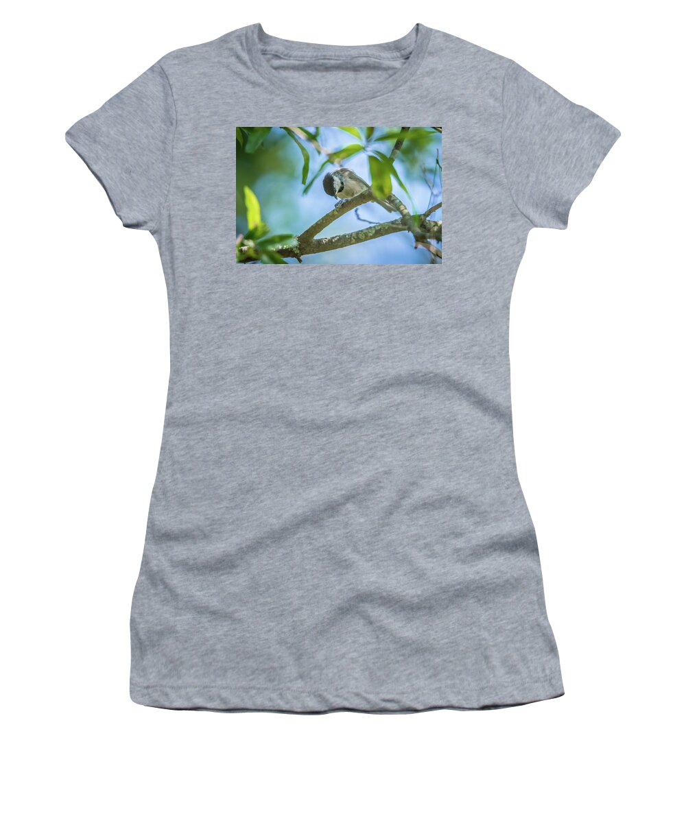 Nature Women's T-Shirt featuring the photograph Huthatch bird nut pecker in the wild on a tree #3 by Alex Grichenko