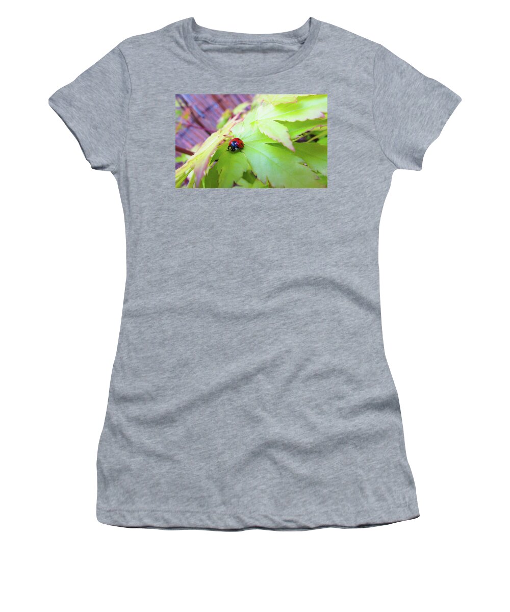 Ladybug Women's T-Shirt featuring the photograph Macro #3 by Cesar Vieira