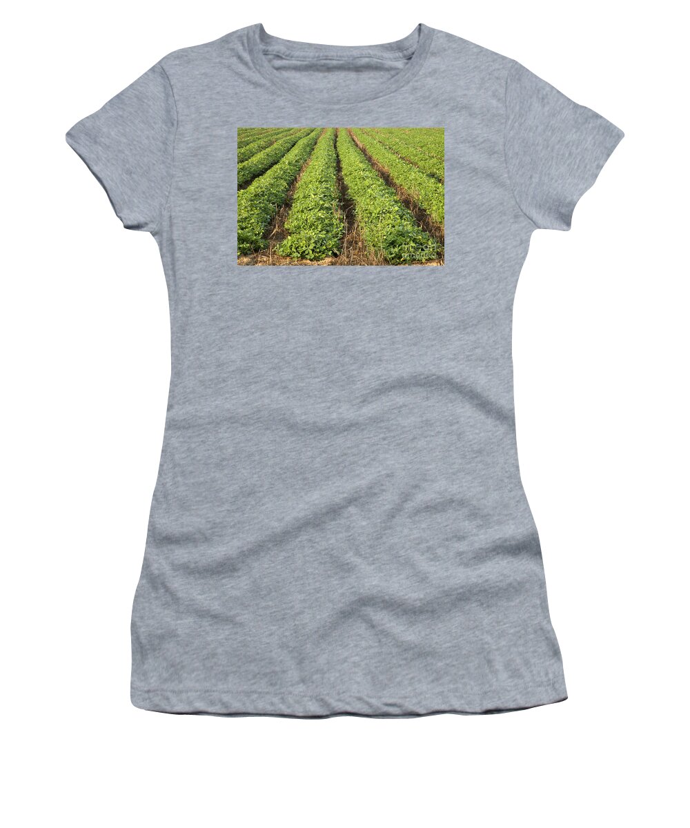 Peanut Field Women's T-Shirt featuring the photograph No Till Peanut Field #3 by Inga Spence