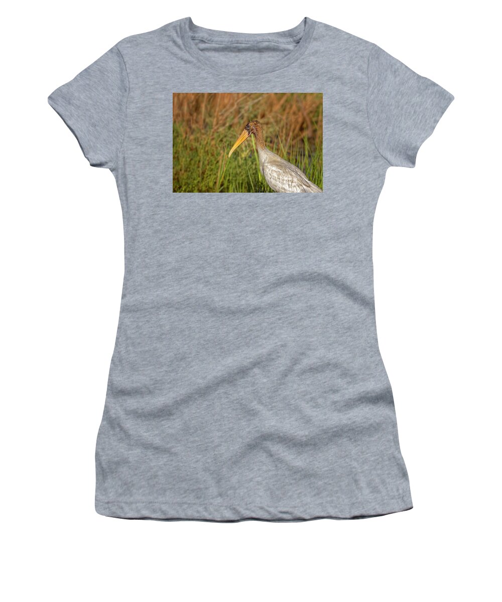 Big Talbot Island Women's T-Shirt featuring the photograph Wood Stork #3 by Peter Lakomy