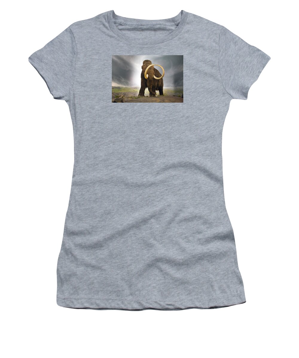 Woolly Women's T-Shirt featuring the photograph Wooly Mammoth #2 by Buddy Mays