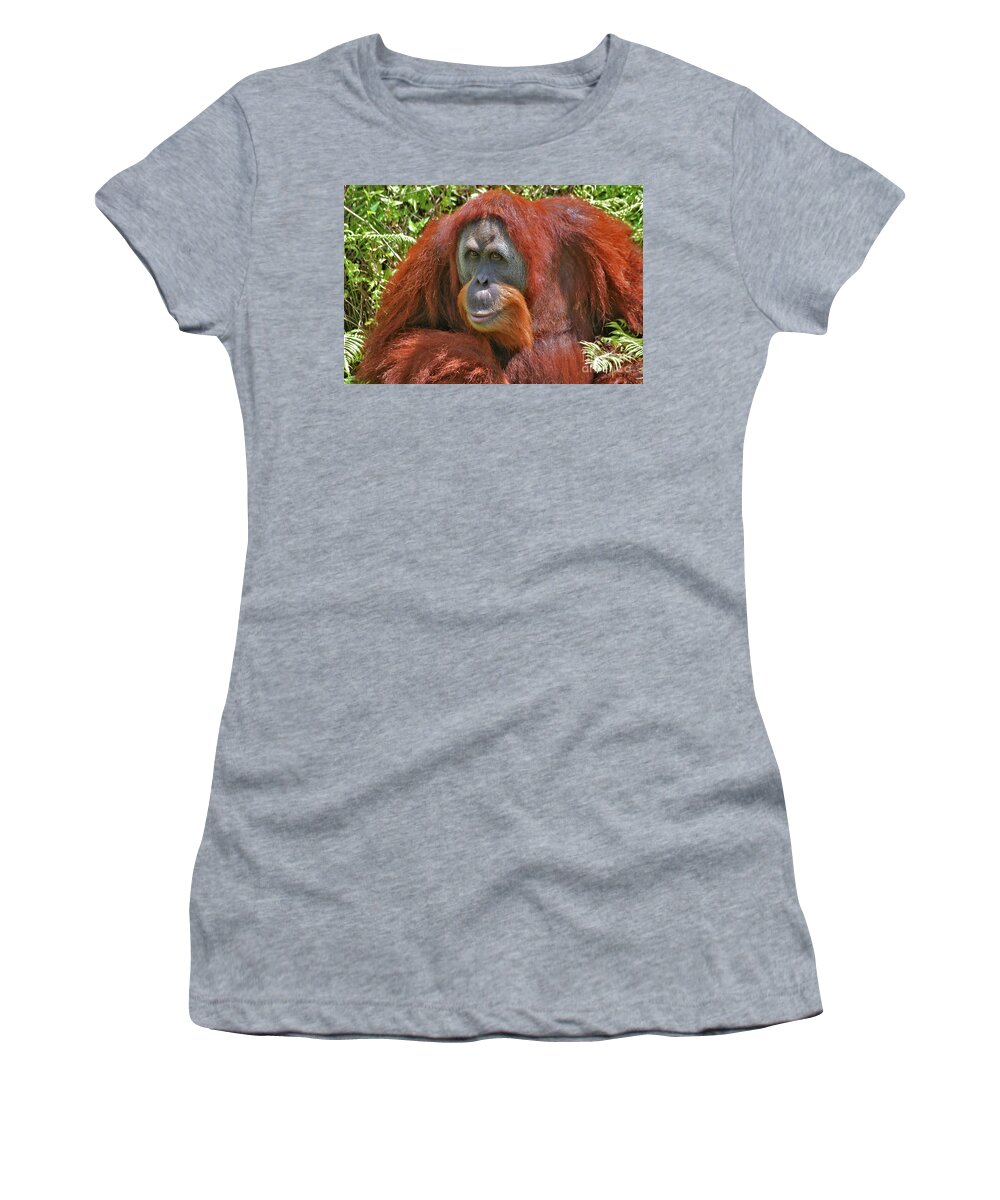 Bonnie Women's T-Shirt featuring the photograph 31- Orangutan by Joseph Keane