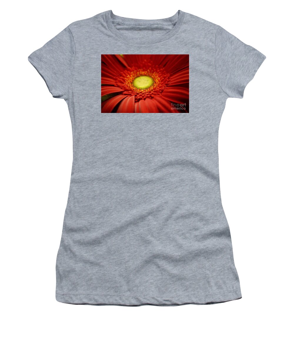 Gerber Daisy Women's T-Shirt featuring the photograph Flowers by Deena Withycombe