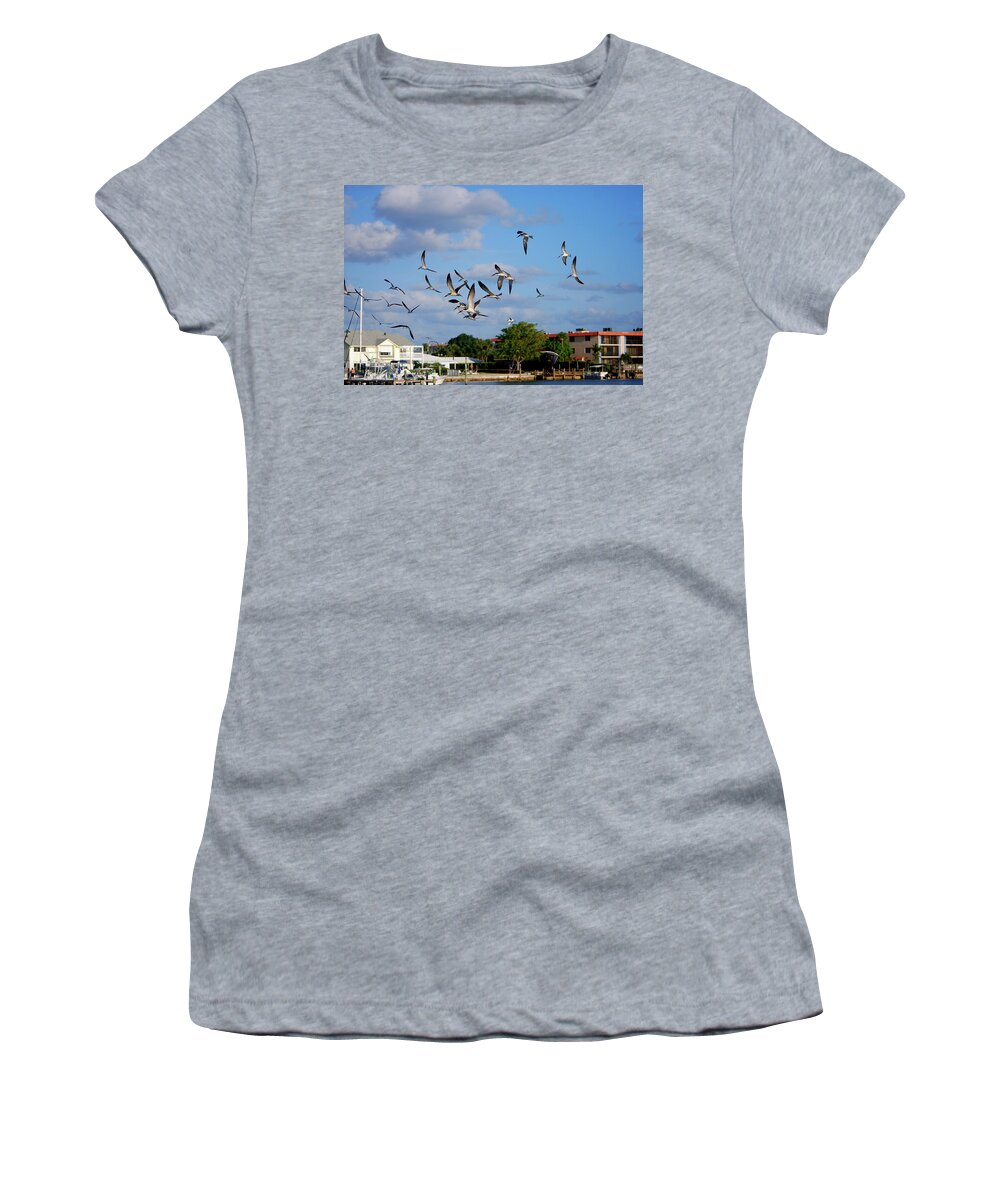 Black Women's T-Shirt featuring the photograph 4- Black Skimmers by Joseph Keane