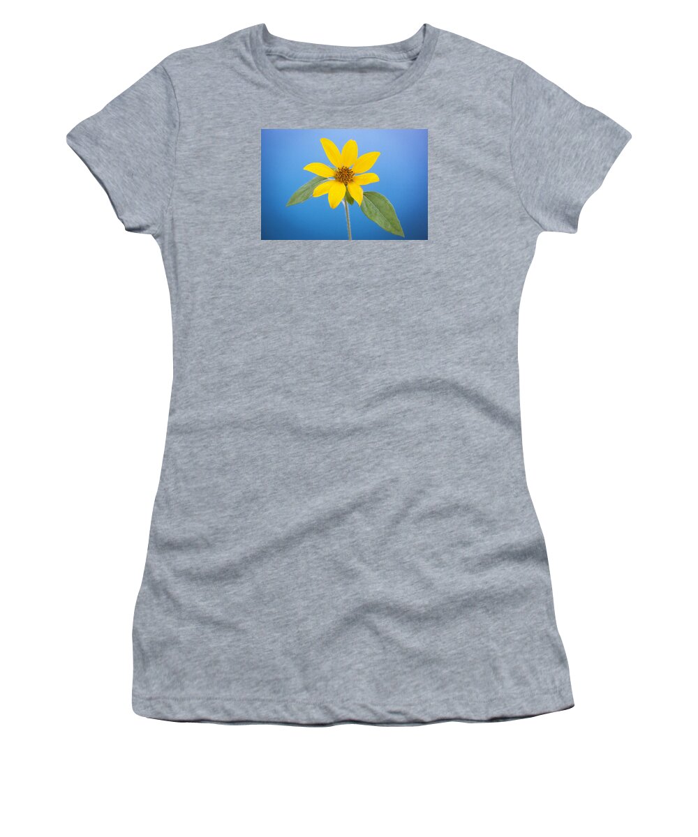 Sunflower Women's T-Shirt featuring the photograph Happy Sunflowers Helianthus #4 by Rich Franco