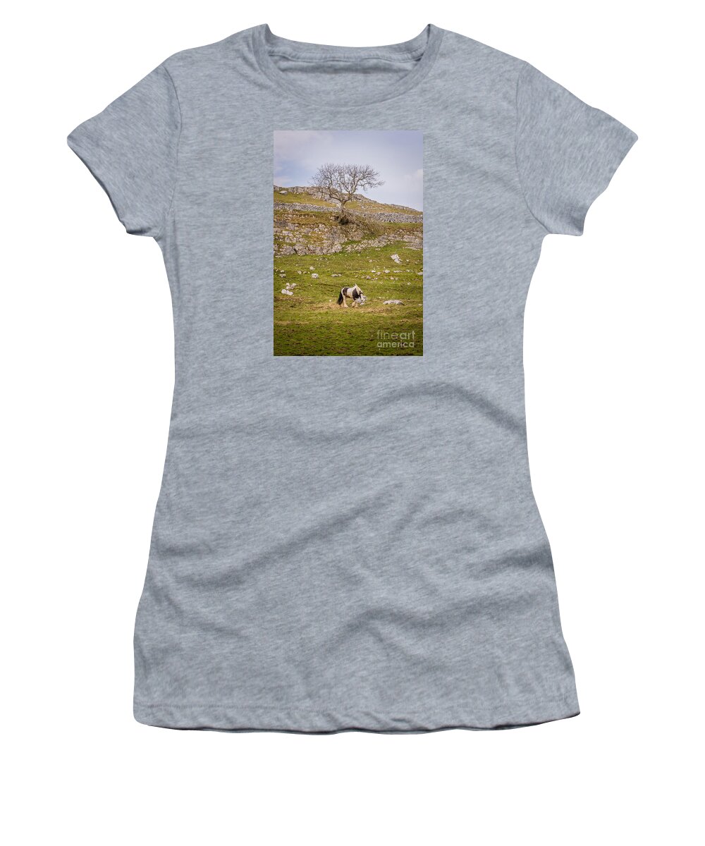 D90 Women's T-Shirt featuring the photograph Horse by Mariusz Talarek