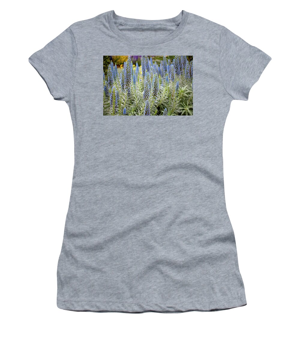 Echium Candicans Women's T-Shirt featuring the photograph Select Blue Pride-of-Madeira #4 by Anthony Totah