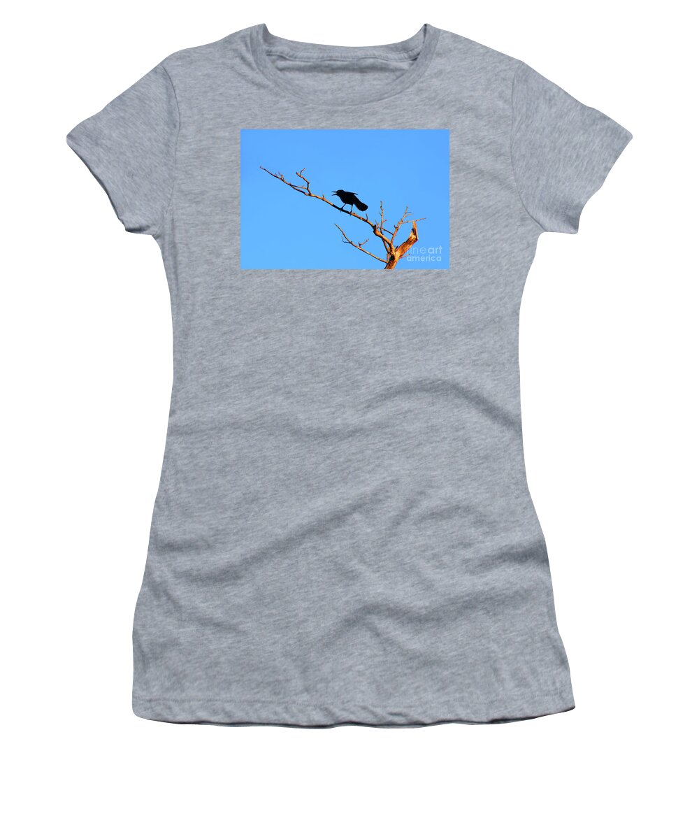  Women's T-Shirt featuring the photograph 47- Crow For Me by Joseph Keane