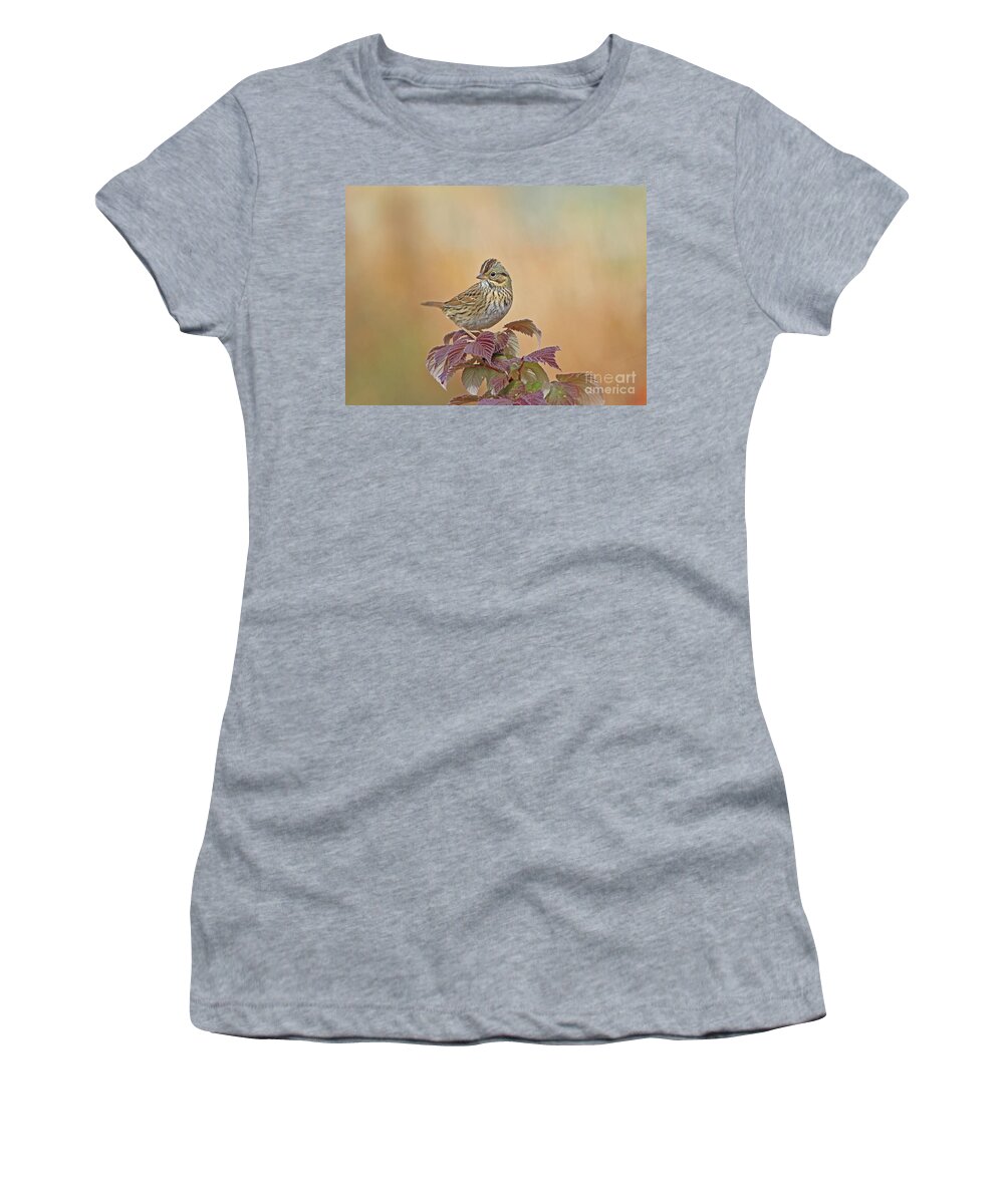 Lincoln's Sparrow Women's T-Shirt featuring the photograph Lincoln's Sparrow #5 by Gary Wing