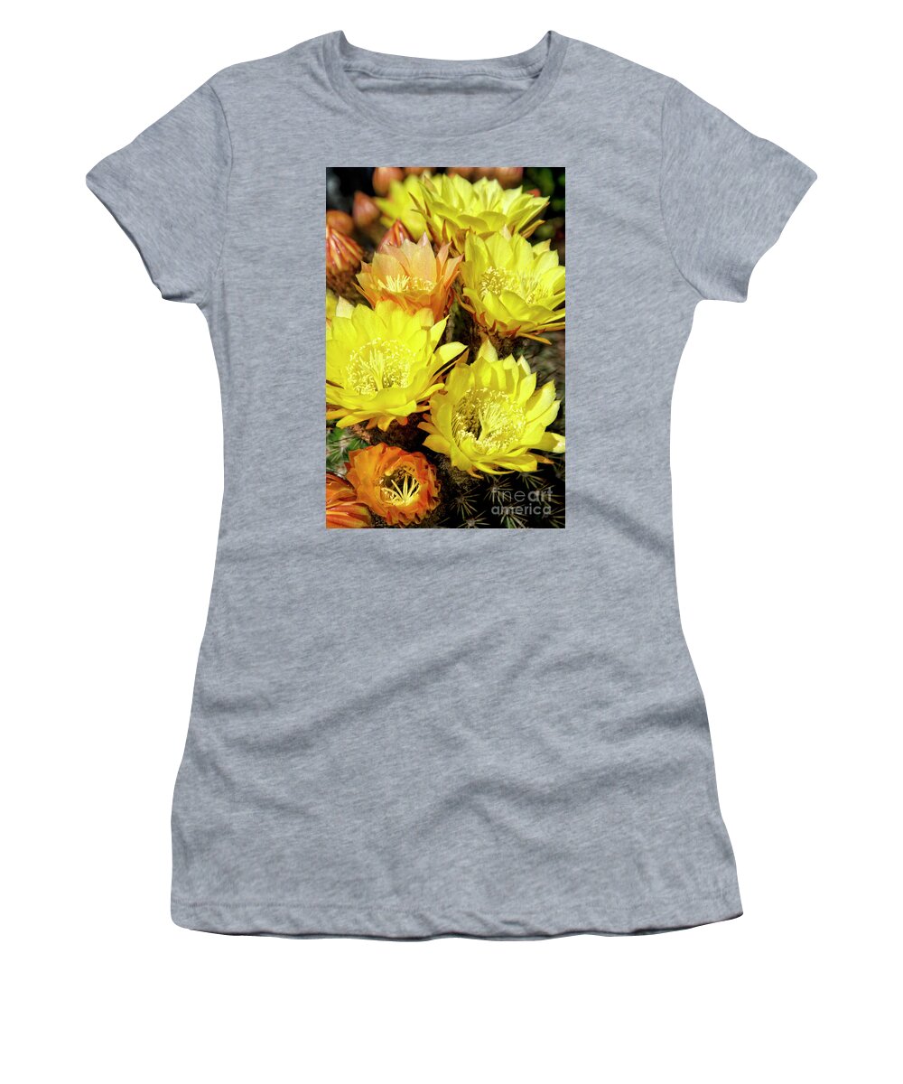 Flower Women's T-Shirt featuring the photograph Yellow cactus flowers #6 by Jim And Emily Bush
