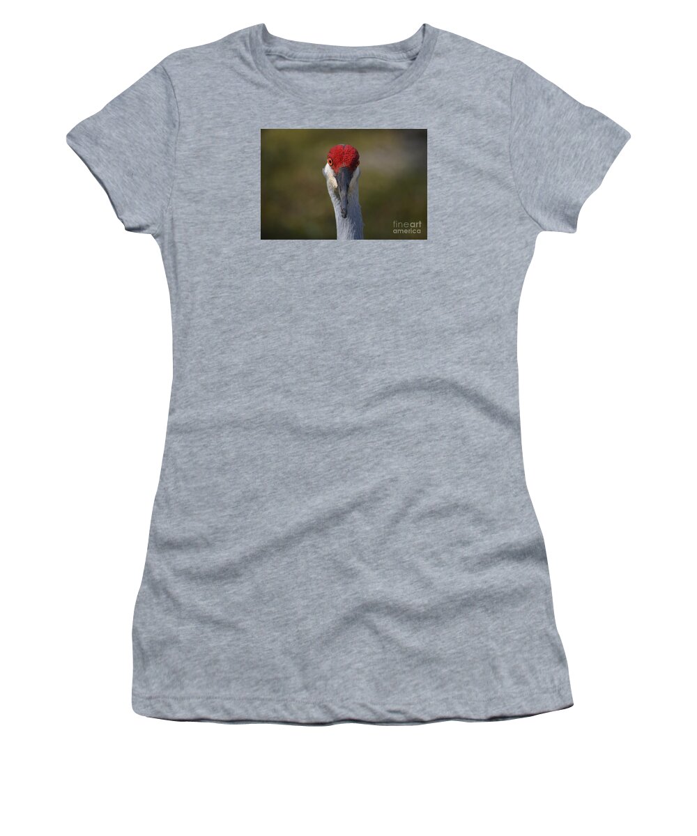 Sandhill Crane Women's T-Shirt featuring the photograph 61- Sandhill Crane by Joseph Keane