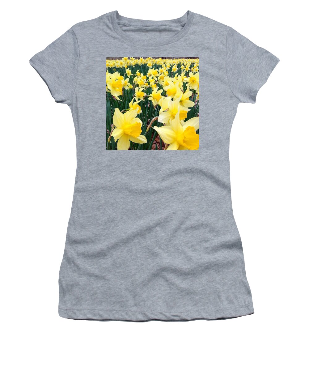 Flowers Women's T-Shirt featuring the photograph Angeline's Garden by Kate Arsenault 