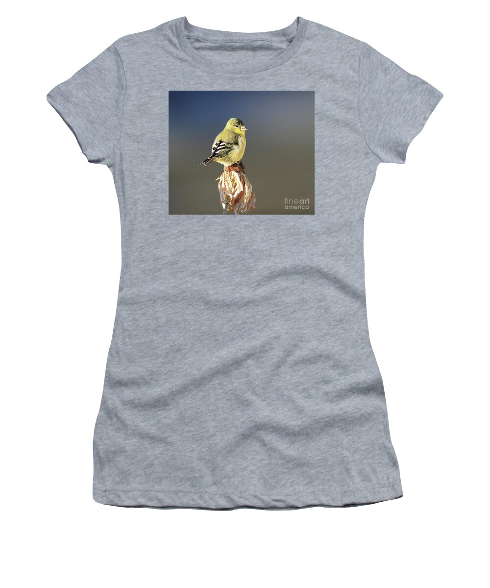 Lesser Goldfinch Women's T-Shirt featuring the photograph Lesser Goldfinch #7 by Gary Wing