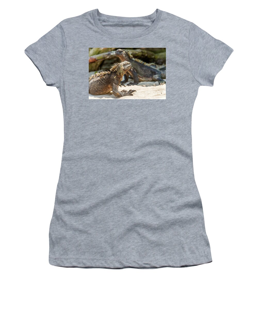 Marine Iguana Women's T-Shirt featuring the photograph Marine Iguana on Galapagos Islands #8 by Marek Poplawski