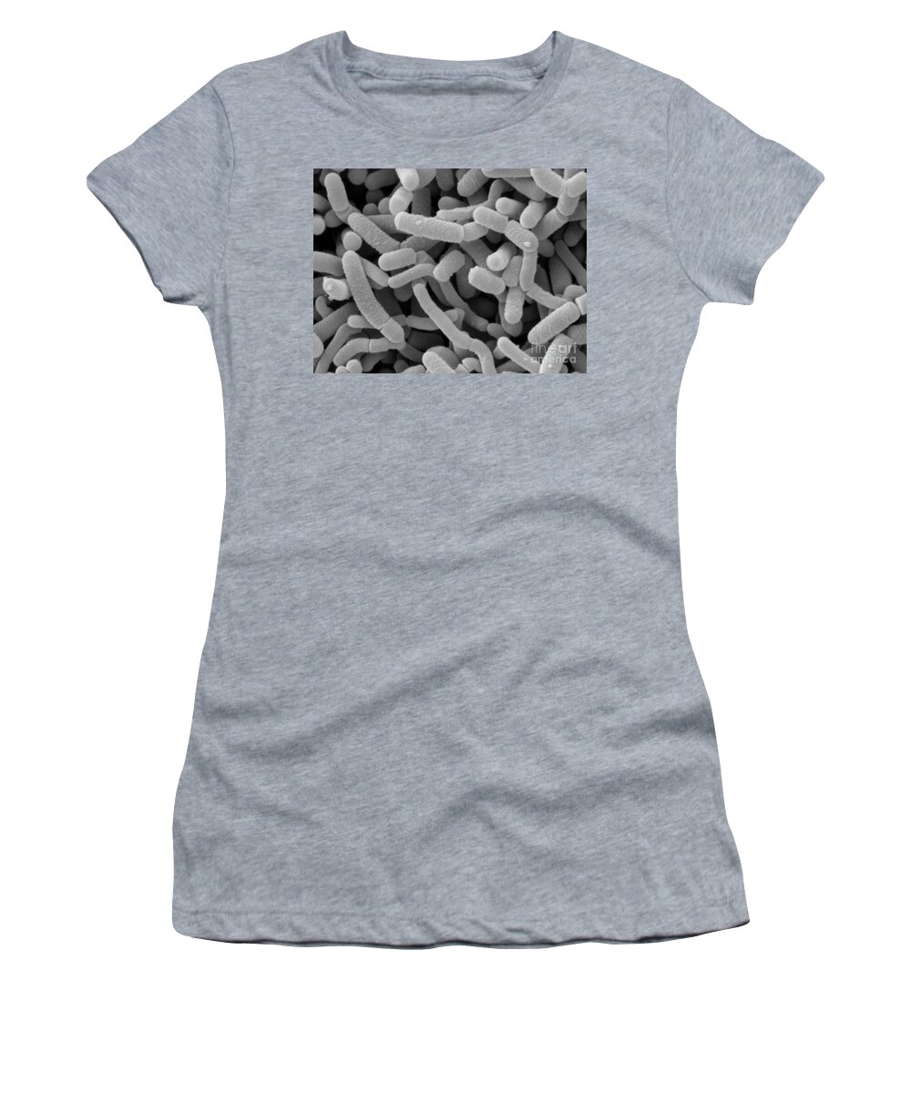 Lactobacillus Women's T-Shirt featuring the photograph Lactobacillus Acidophilus And L. Casei #9 by Scimat