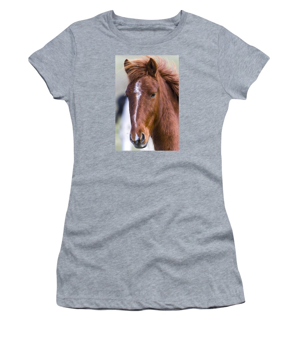 Chestnut Horse Women's T-Shirt featuring the photograph A Chestnut Horse portrait by Andy Myatt