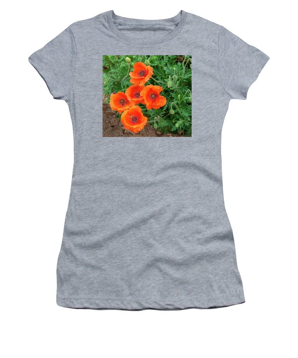 Oriental Poppy Women's T-Shirt featuring the photograph A family portrait. by Usha Peddamatham