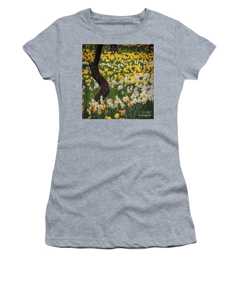 A Field Of Daffodils Women's T-Shirt featuring the photograph A Field Of Daffodils by Mitch Shindelbower