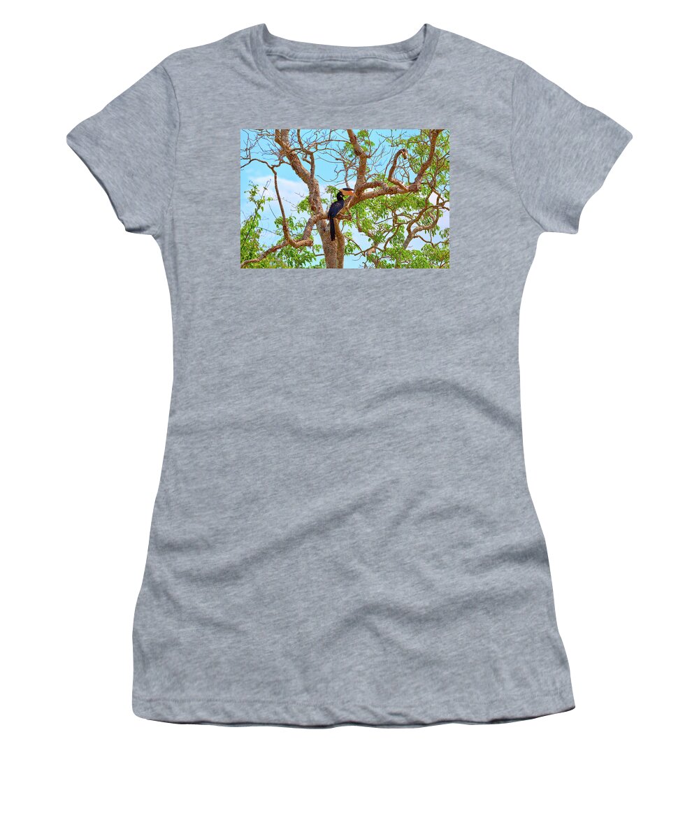Adventure Women's T-Shirt featuring the photograph a gorgeous Great Indian Hornbill, exotically bird in the tropes by Gina Koch