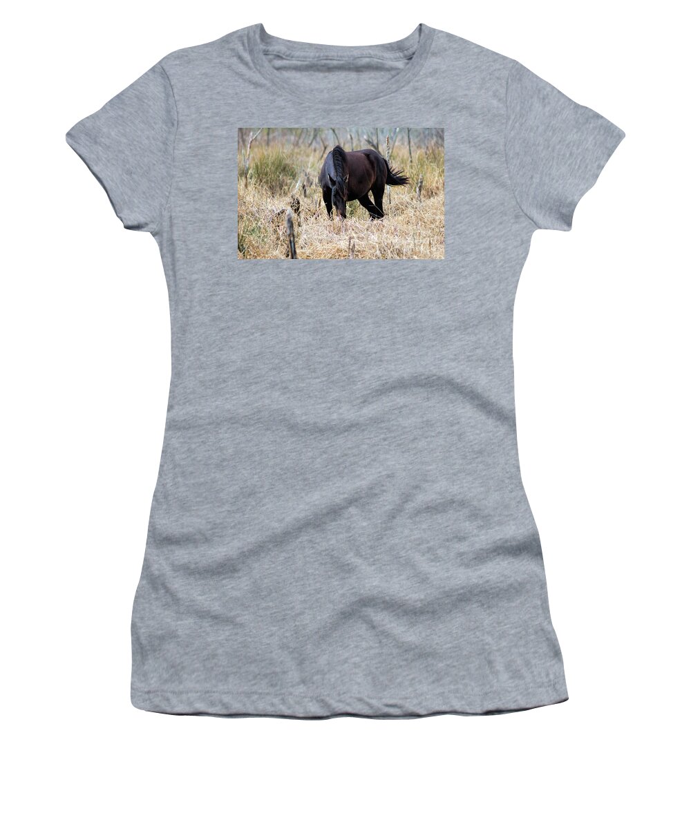 A Beautiful Wild Horse In Paynes Prairie Preserve State Park Women's T-Shirt featuring the photograph A Beautiful Wild Horse In Paynes Prairie Preserve State Park, Florida by Felix Lai