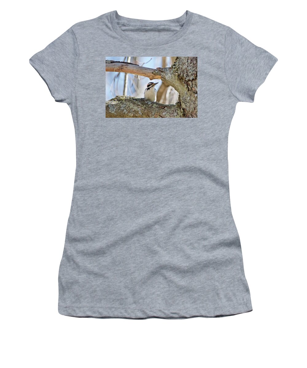 Downey Woodpecker Women's T-Shirt featuring the photograph A Male Downey woodpecker 1111 by Michael Peychich