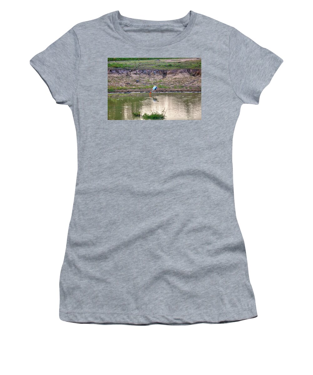 Adventure Women's T-Shirt featuring the photograph a painted stork is fishing in a pond in the Yala Nationalpark by Gina Koch