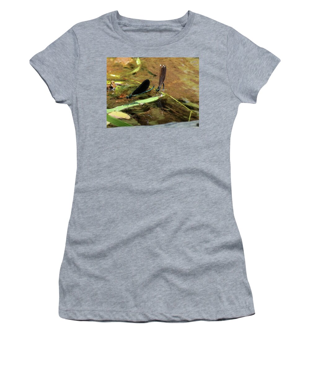Damselfly Women's T-Shirt featuring the photograph A pair alight by Azthet Photography