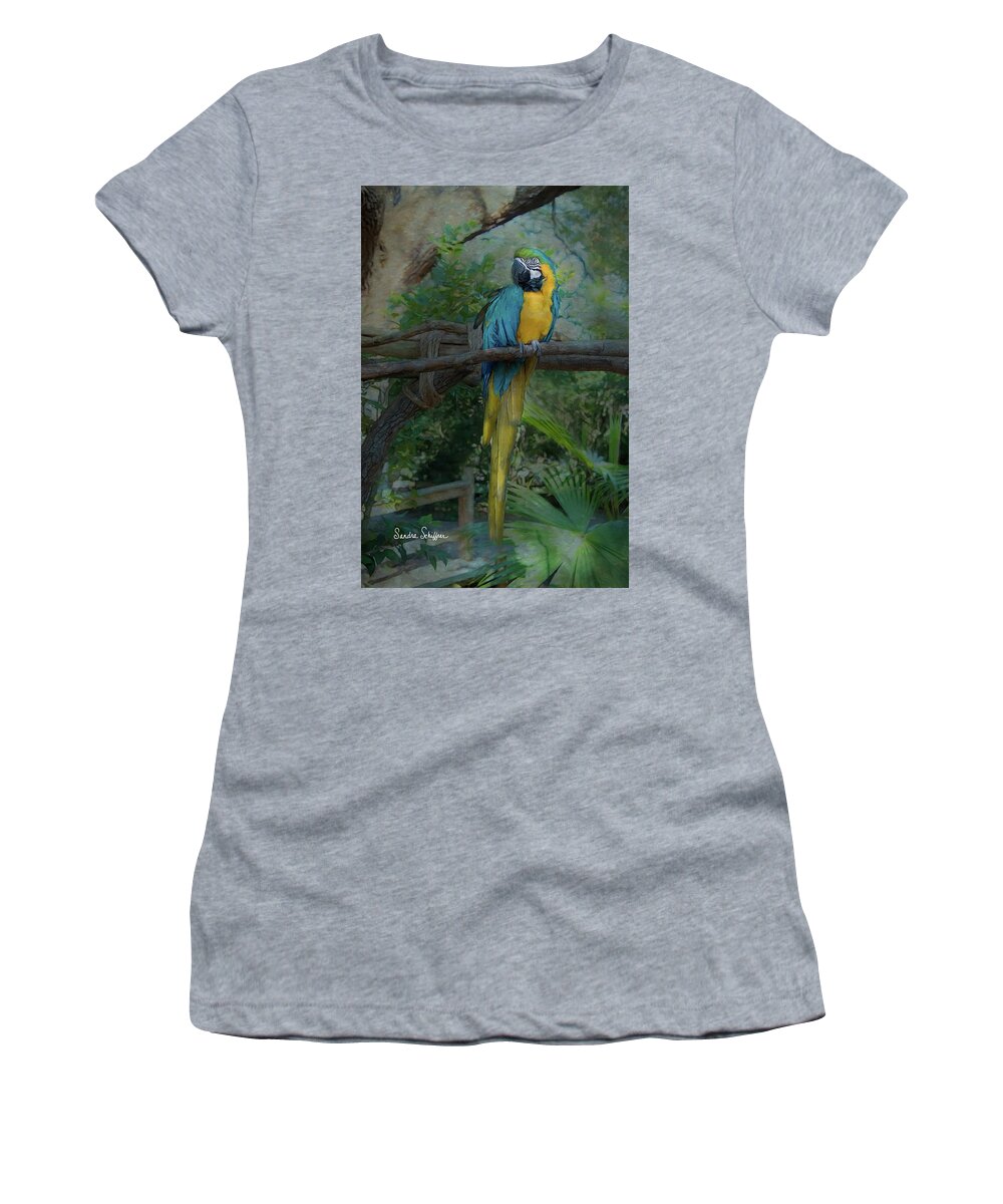 Parrot Women's T-Shirt featuring the photograph A Parrot's Life by Sandra Schiffner