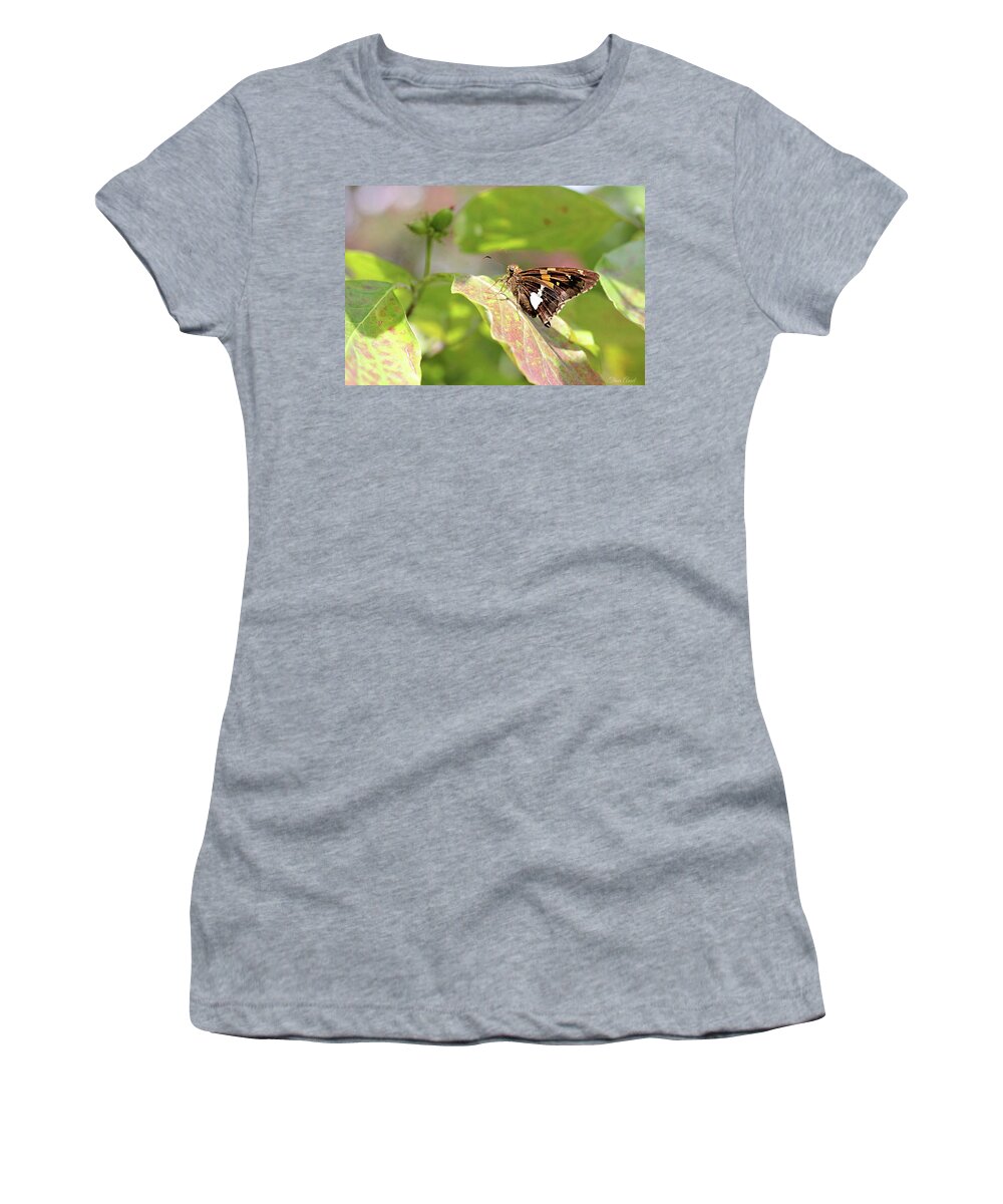 Butterfly Women's T-Shirt featuring the photograph A Place of Rest by Trina Ansel