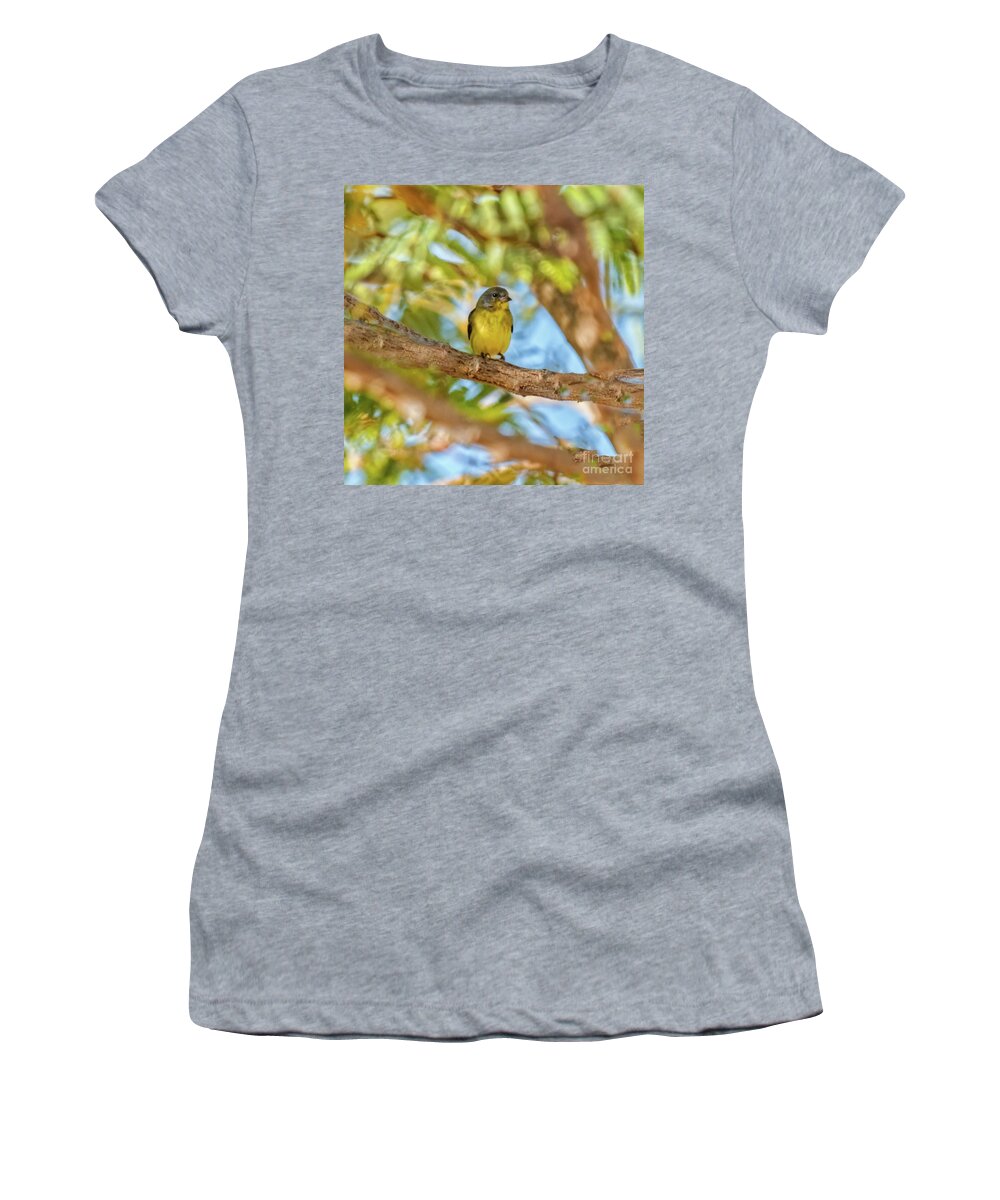  Yellow Women's T-Shirt featuring the photograph A Resting Lesser Goldfinch by Robert Bales