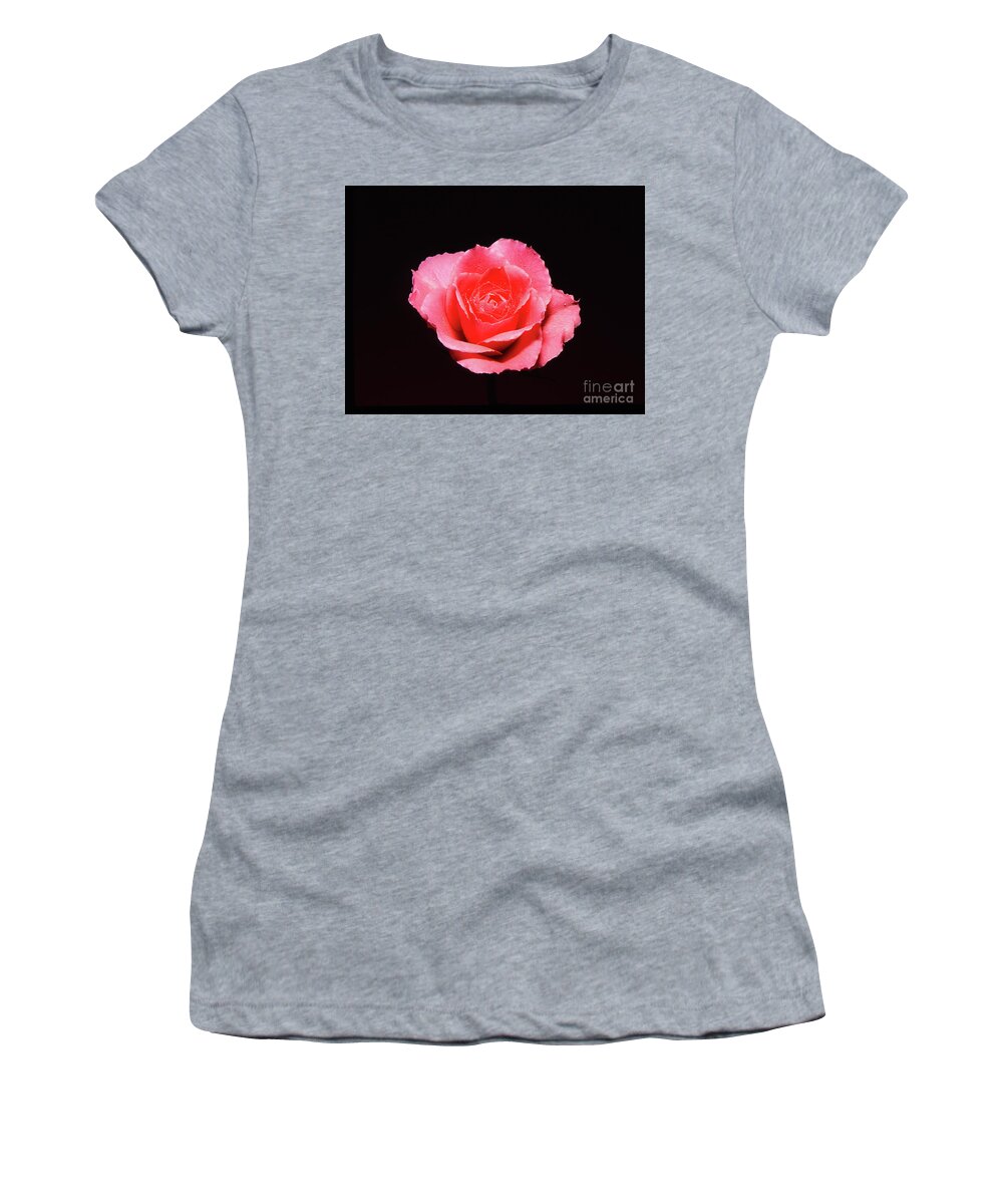 Rose Women's T-Shirt featuring the photograph A rose is a rose is a rose by Casper Cammeraat