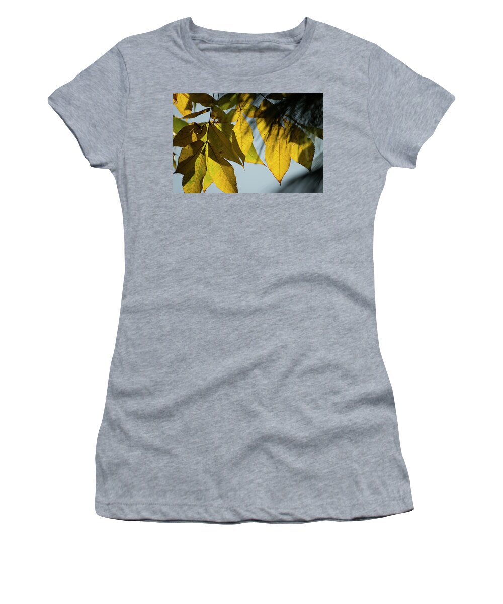 Fall Leaves Women's T-Shirt featuring the photograph A Season Of Change by Mike Eingle