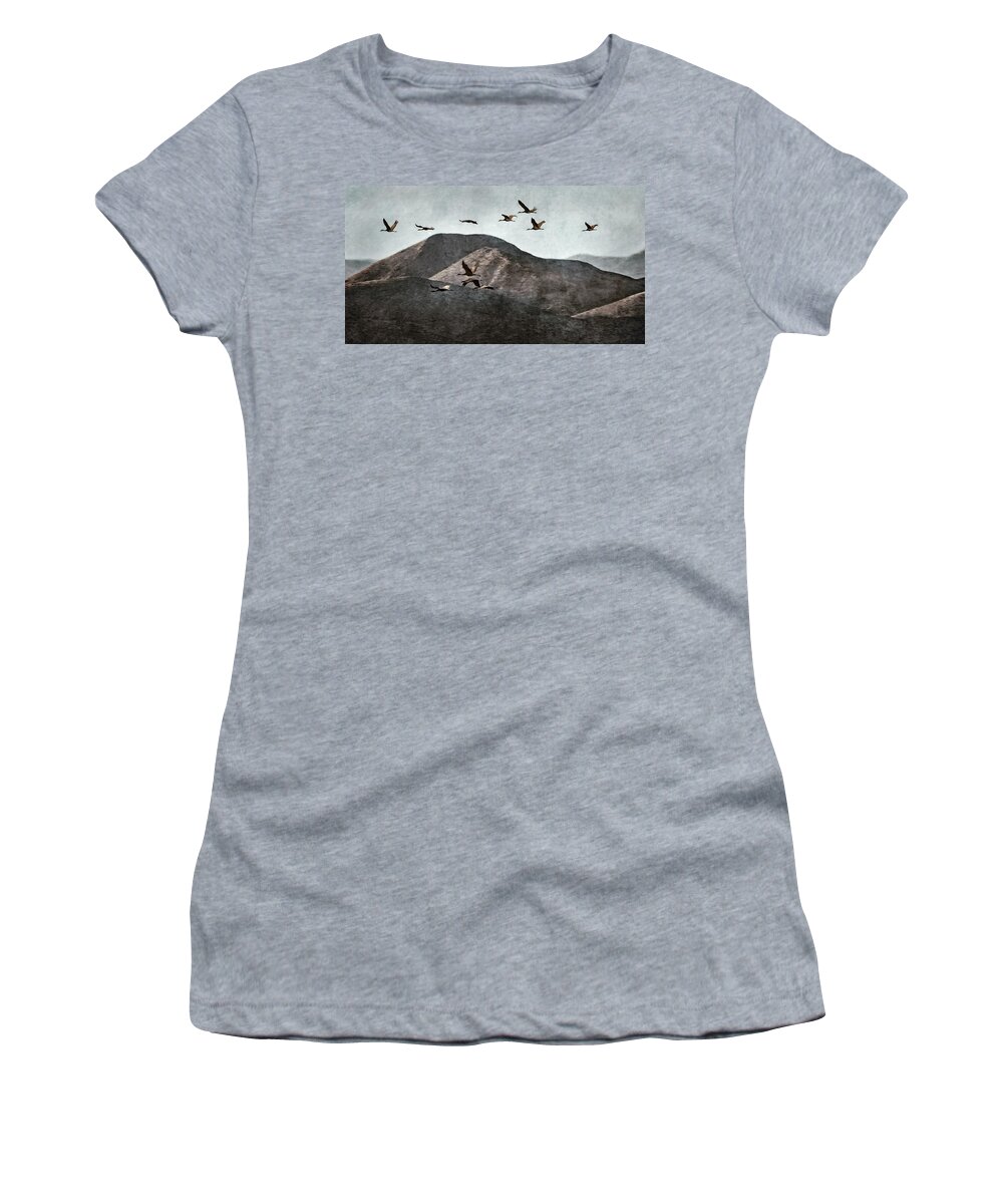 Sandhill Cranes Women's T-Shirt featuring the photograph A Sedge of Cranes by Leda Robertson