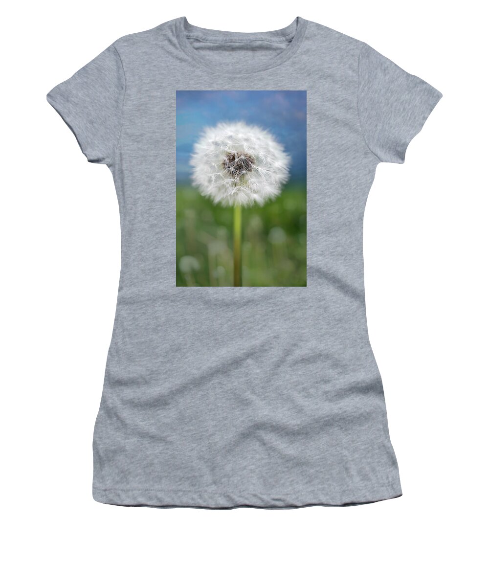 Nature Women's T-Shirt featuring the photograph A single dandelion seed pod by Robert FERD Frank