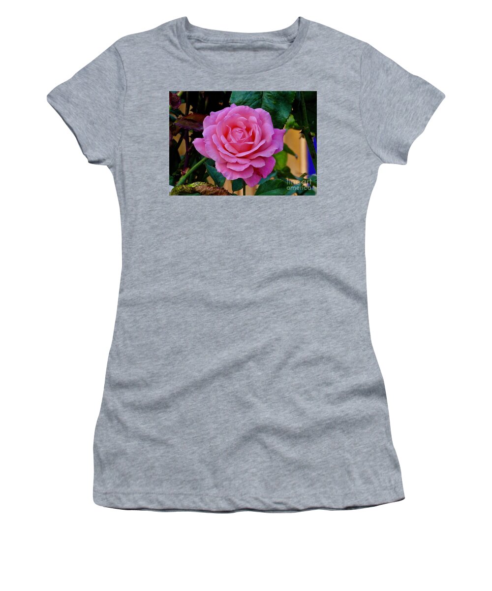 Flower Women's T-Shirt featuring the photograph A Single Pink Rose by Craig Wood