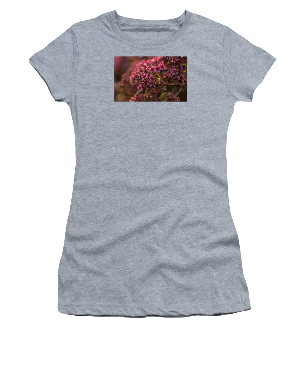 Bee Women's T-Shirt featuring the photograph A Summer Bee by Yeates Photography