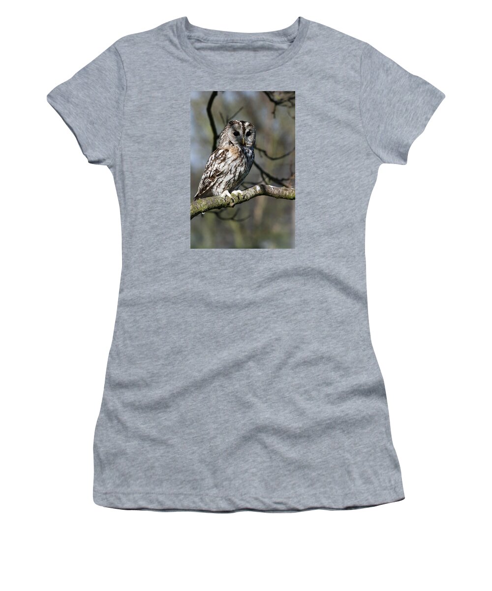 Tawny Owl Women's T-Shirt featuring the photograph A Tawny Owl by Andy Myatt