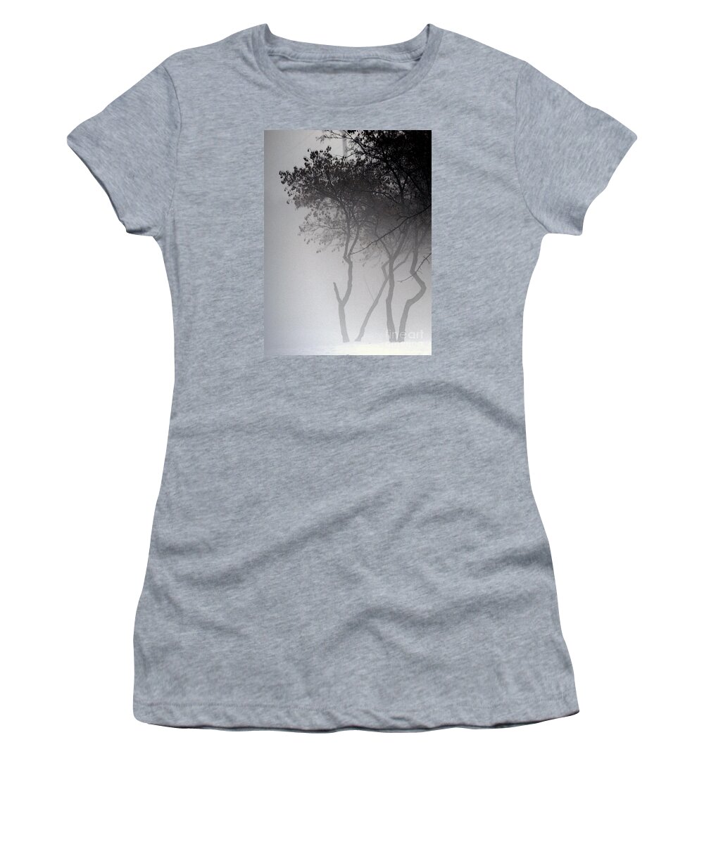Trees Women's T-Shirt featuring the photograph A Walk Through The Mist by Linda Shafer