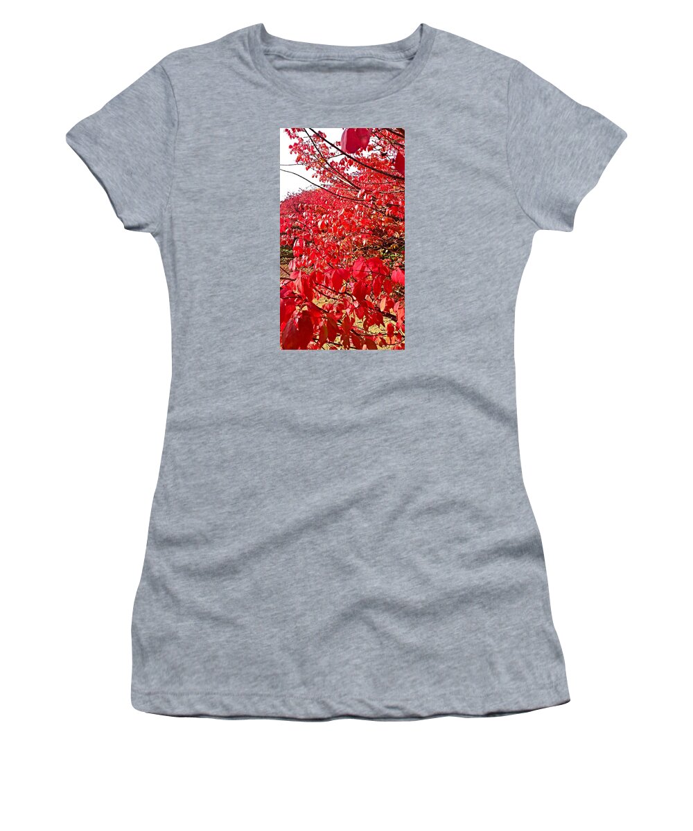 Colorful Women's T-Shirt featuring the photograph Ablaze by Jana E Provenzano