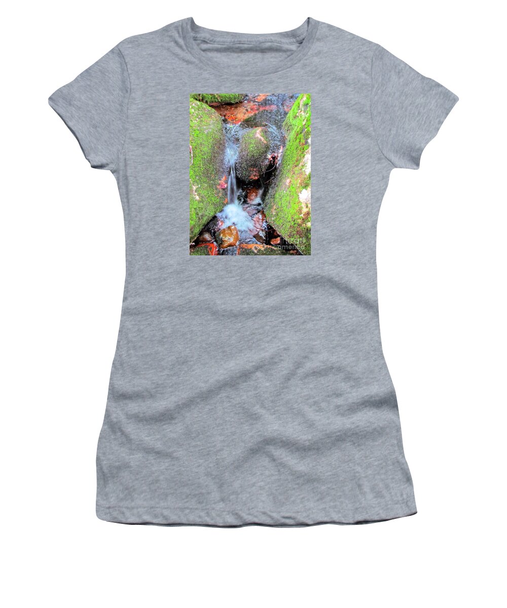 Stream Women's T-Shirt featuring the photograph Acadian Stream by Elizabeth Dow