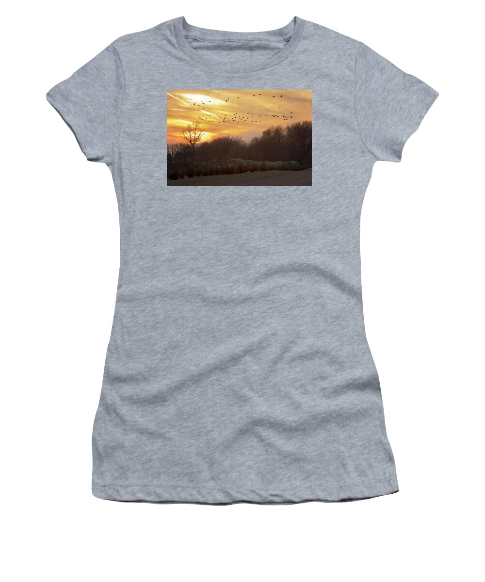 Sandhill Cranes Women's T-Shirt featuring the photograph Across the Sky by Susan Rissi Tregoning