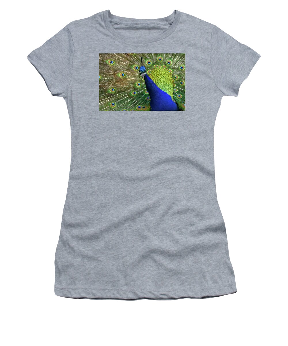 Peacock Women's T-Shirt featuring the photograph Admiration by Evelyn Tambour