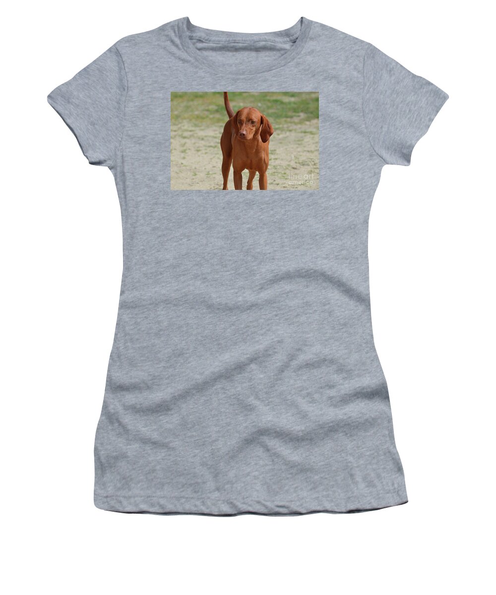 Redbone Coonhound Women's T-Shirt featuring the photograph Adorable Redbone Coonhound Standing Alone by DejaVu Designs